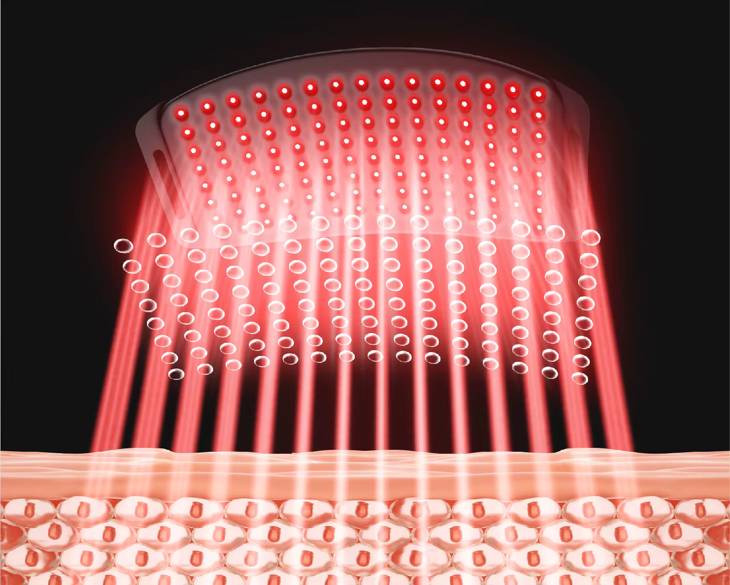 e7ead21b-2639-4272-a782-3f65c808bea1.png